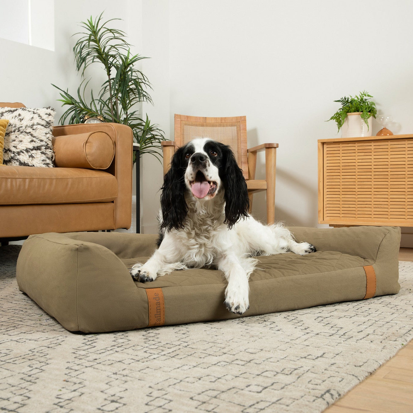 Dog lying on a large dog bed in a living room.