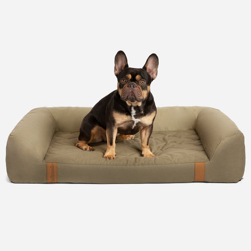 [size:m][color:dune]